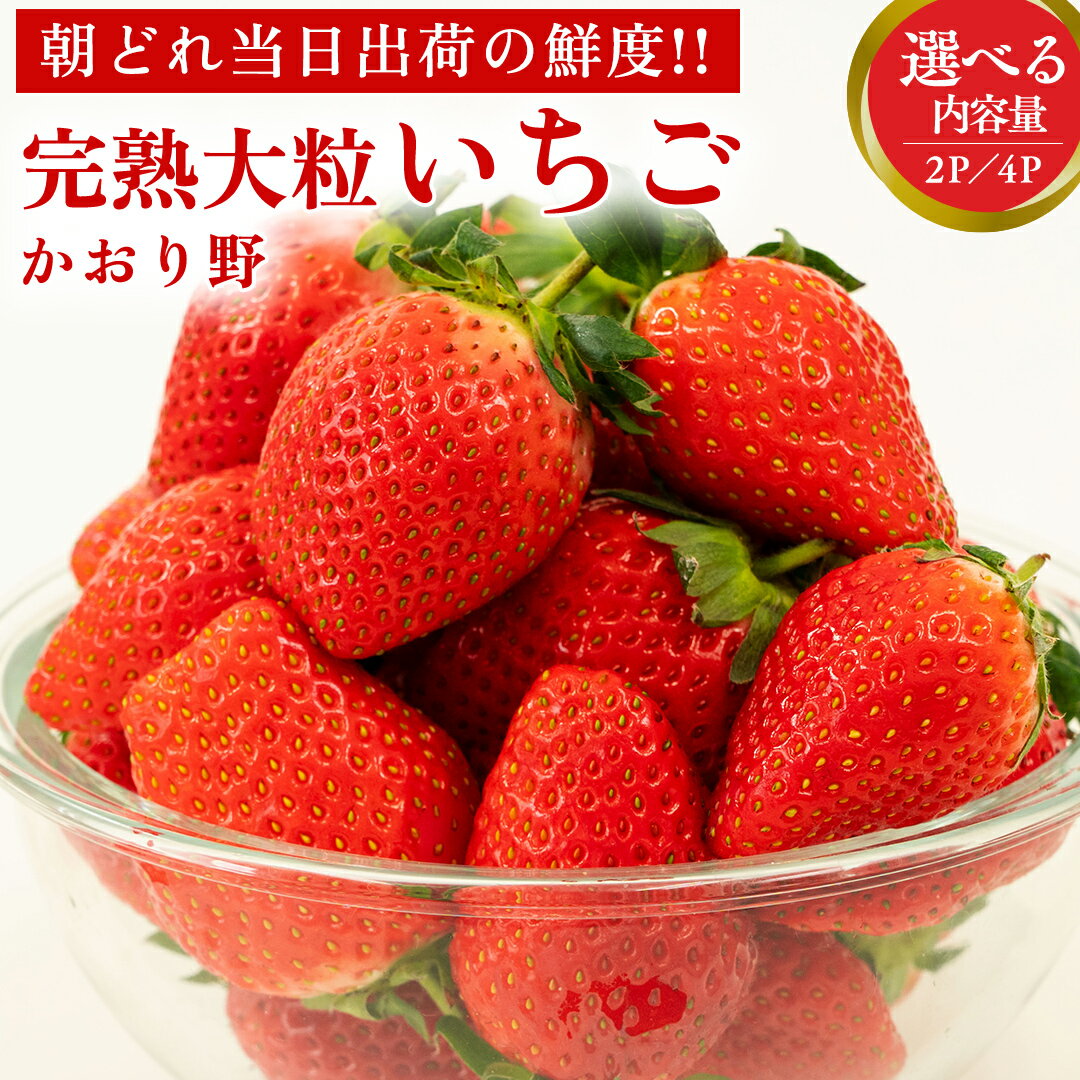 【ふるさと納税】【 先行予約 】 イチゴ 完熟 かおり野 大粒 いちご 苺 期間限定 数量限定 2パック 4パックのサムネイル