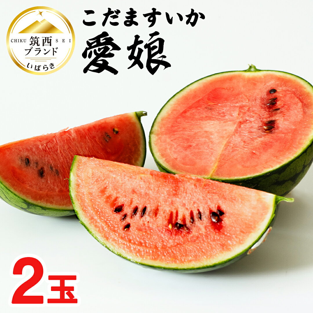 【ふるさと納税】こだますいか 「 愛娘 」 2玉 2025年産 先行予約 筑西ブランド こだまスイカ 小玉スイカ すいか スイカ フルーツ 果物
