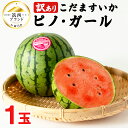 【ふるさと納税】【 訳あり 】 こだますいか 「 ピノ・ガール 」 1玉 2025年産 先行予約 筑西ブランド こだまスイカ 小玉スイカ すいか スイカ フルー...