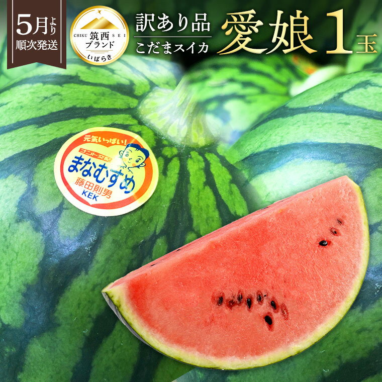 【ふるさと納税】【 先行予約 】 【 訳あり 】 こだまスイカ 愛娘 1玉 （ 2023年5月下旬から順次発送 ） すいか スイカ 小玉スイカ フルーツ 果物のサムネイル