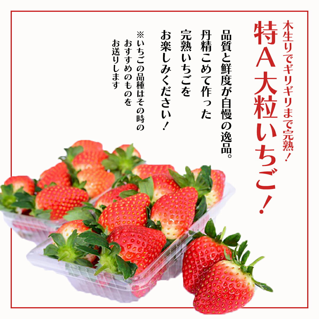 【ふるさと納税】【 野菜ソムリエ 厳選 】 旬 の フルーツ定期便 ( 選べる コース ) 先行予約 フルーツ 果物 定期便 いちご イチゴ 苺 とちおとめ やよいひめ かおり野 すいか ピノガール トマト フルーツトマト メロン アールスメロン 旬 新鮮 おすすめ ソムリエ 野菜