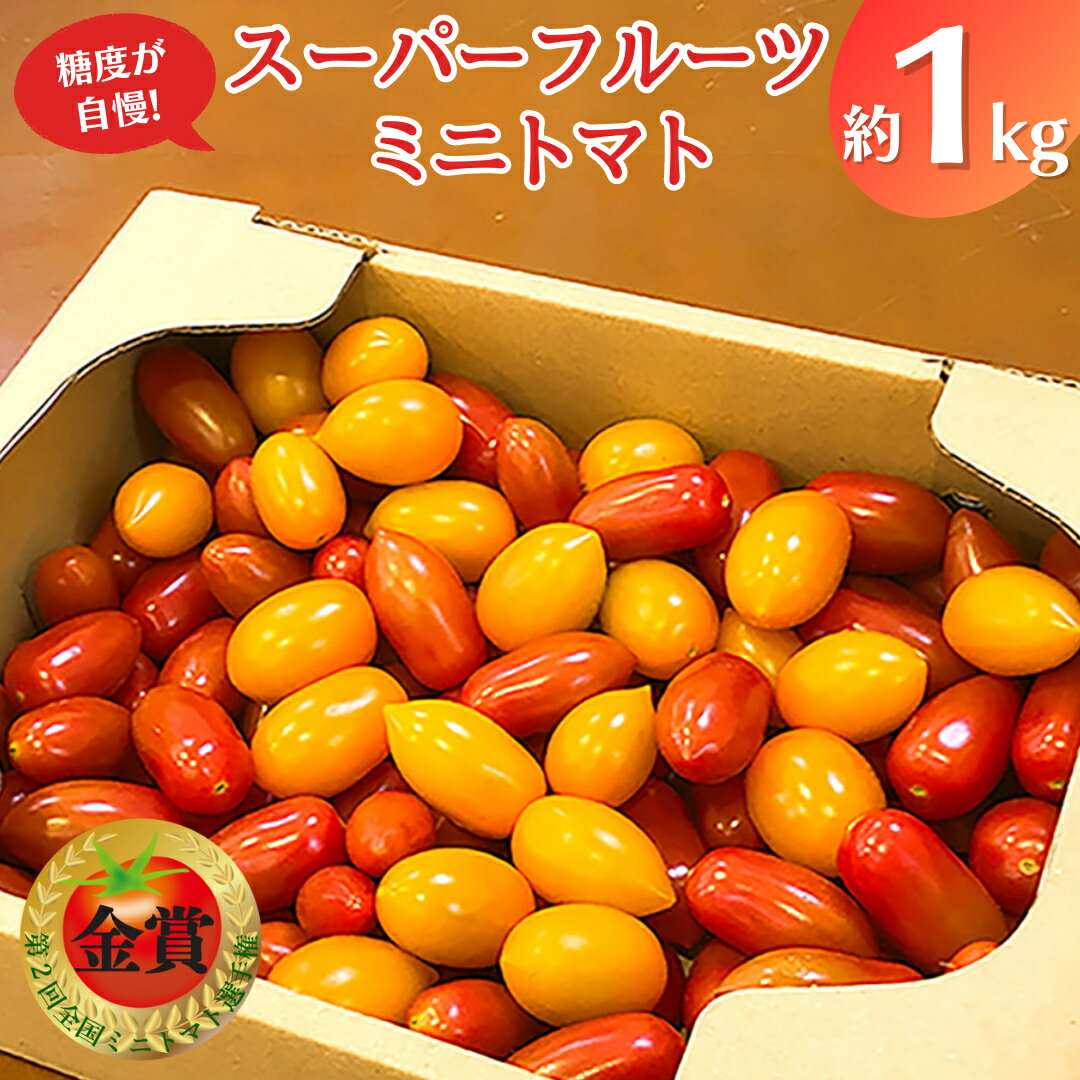 [ 先行予約 ] スーパーフルーツ ミニトマト 約1kg 野菜 フルーツトマト フルーツ トマト とまと