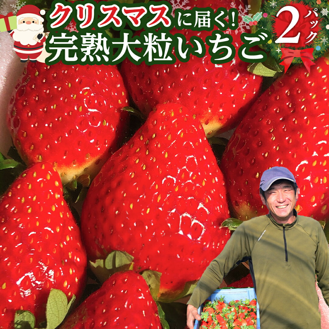 【ふるさと納税】【 クリスマス ( 24日・25日 ) に届く！】 完熟 いちご 2パック ( 限定 20セット ) 大粒 かおり野 とちおとめ イチゴ 苺 フルーツ 果物 果実のサムネイル