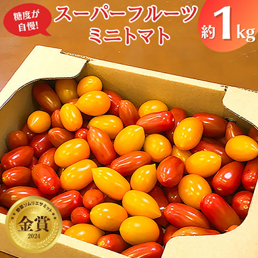 スーパーフルーツ ミニトマト 約1kg 2026年産 野菜 フルーツトマト フルーツ トマト とまと