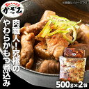 【ふるさと納税】肉職人！風實 究極のやわらかもつ煮込み（500g×2） ギフト 贈答 冷凍 真空 もつ おつまみ 晩酌 かざみ