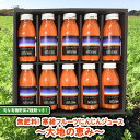 【ふるさと納税】寒締 フルーツ にんじんジュース ~大地の恵み~旬な 有機野菜2種類つき! ジュース 有機 無農薬 無化学肥料 JAS認定 おまかせ にんじん レインボーフューチャー