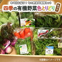 【ふるさと納税】【年4回お届け！定期便】四季の有機野菜色とり