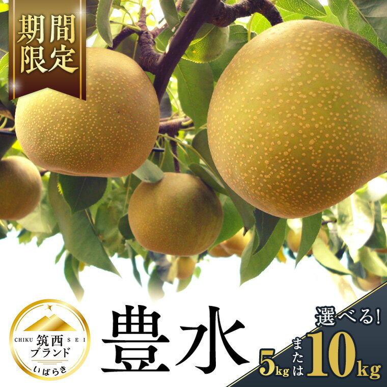 楽天市場】梨 10kgの通販