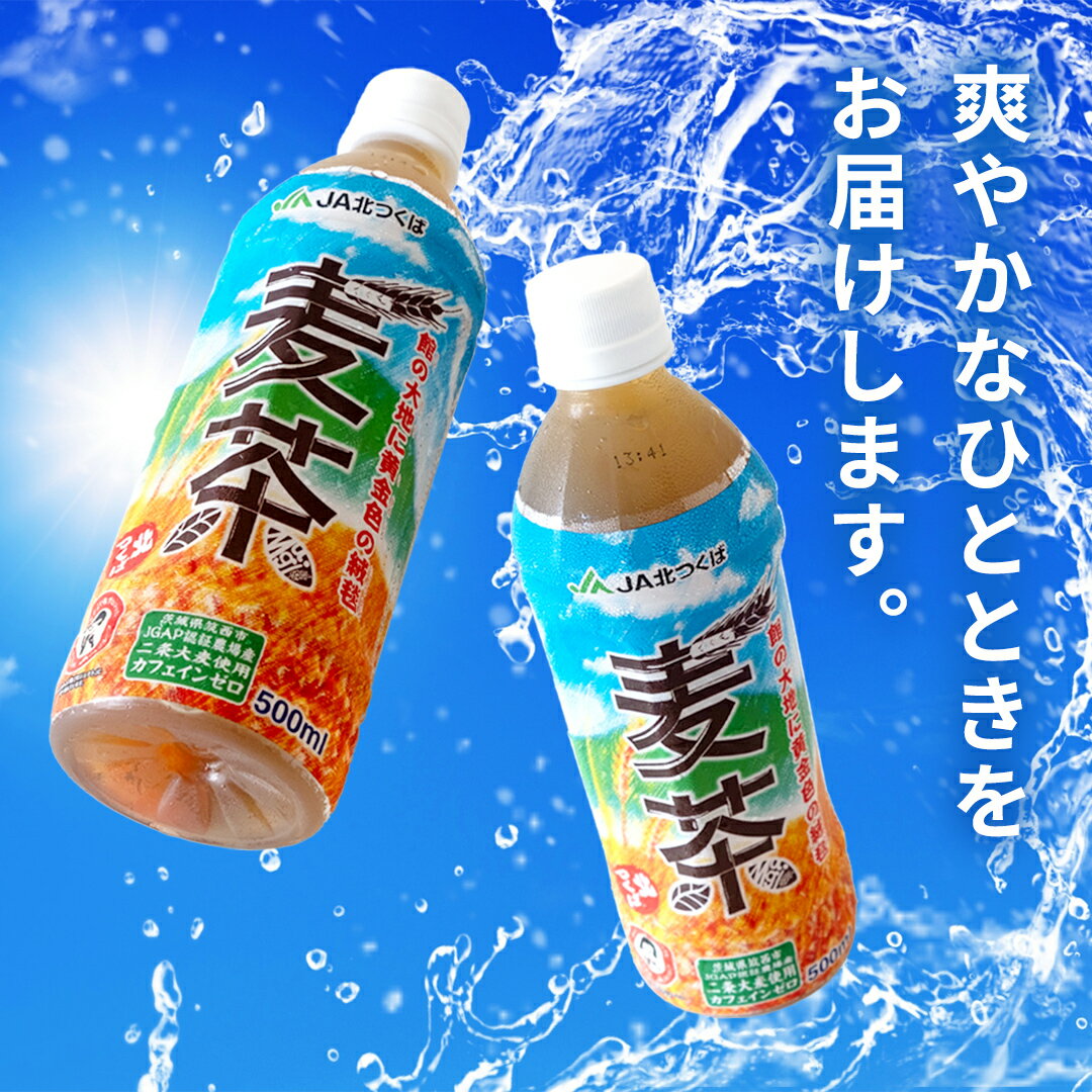【ふるさと納税】【 3ヶ月 定期便 】 JA北つくば JGAP認証 麦茶 1箱 ( 500ml × 24本 ) JGAP JA お茶 茶 ペットボトル 麦 大麦 二条大麦 ノンカフェイン カフェインゼロ