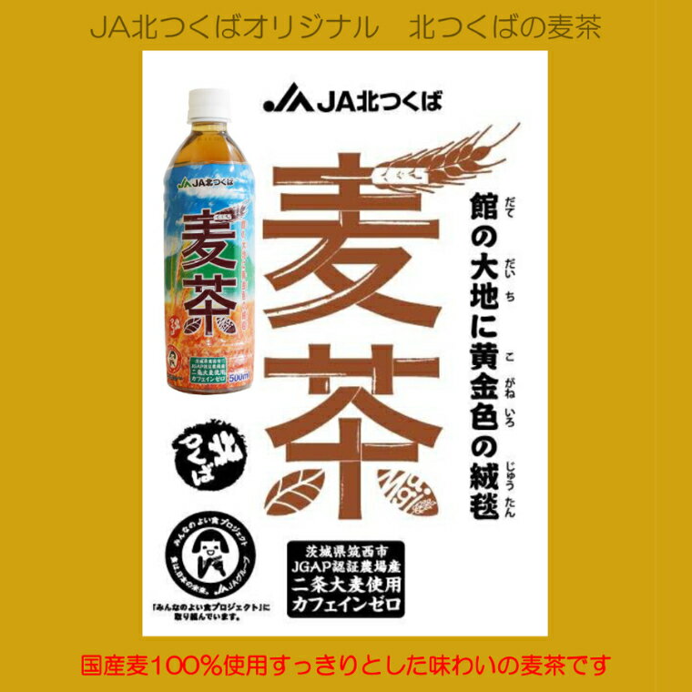 【ふるさと納税】【 3ヶ月 定期便 】 麦茶 JA北つくば オリジナル商品 ( 24本入 ) お茶 ペットボトル 麦 茶 JA