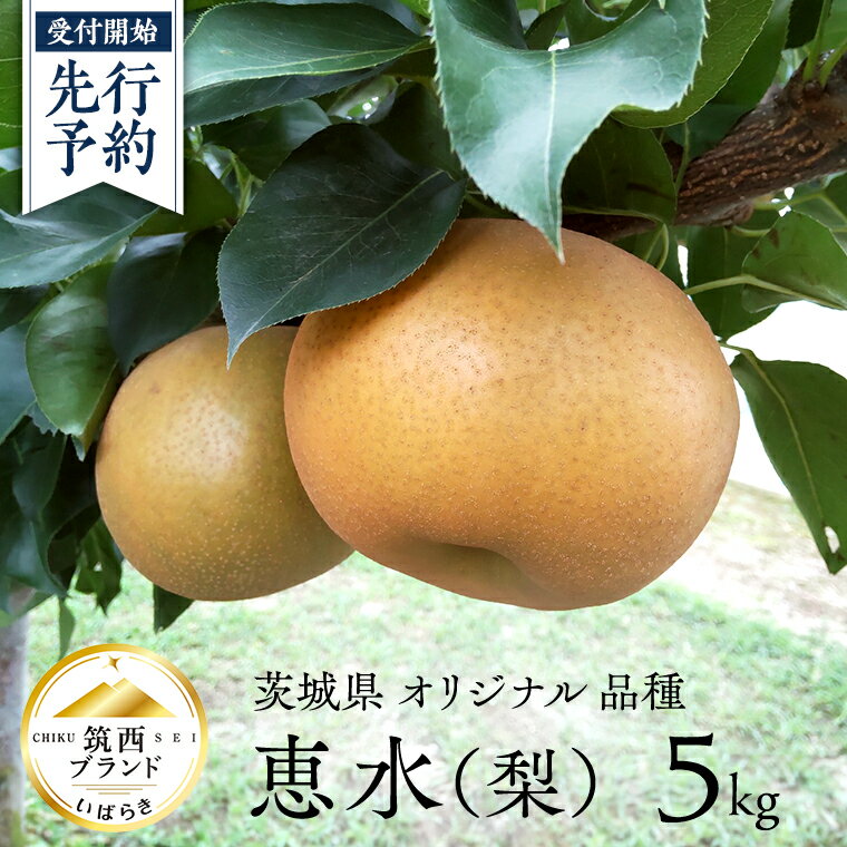 筑西ブランド 認証品 筑西市は日本でも最も古い梨の産地のひとつで、全国有数の栽培面積、生産量を誇ります。 「筑西ブランド」としても認証されたリピーター続出の恵水梨をお届けしますので、是非お楽しみください！ 「恵水梨」とは、茨城県が育成した新品種です。 たっぷりの果汁にシャキシャキした爽やかな食感。 糖度が高く、酸味が少ないのが特徴。 大玉で食べ応えがあり、梨独特のシャリ感と爽やかな風味を味わえます。 また、冷蔵すると保存がきくのも「恵水梨」の特徴。 【特選品について】 JA北つくば梨選果場の光センサー選果機を通して、果形が良好であり、キズがなく、尚且つ糖度が13度以上である恵水梨を「特選 恵水梨」として販売しております。 恵水梨の中でも極わずかな梨だけが「特選 恵水梨」となります。 〜筑西ブランドとは〜 生産者の創意工夫により産出された、外見及び食味に優れ、筑西らしさを持つ筑西産品であって、 国内外における本市のイメージ向上に資するものとして市長より認証されたものです。 商品詳細 名称 【 先行予約 】 茨城県 オリジナル 品種の 恵水 ( 梨 ) 5kg 内容量 ▼以下よりご選択ください ・恵水 5kg（8〜12玉入） ・特選!! 恵水 5kg（8〜10玉入） 注意事項 本返礼品は食べごろの時期に配送しております。 傷みやすいため、到着後なるべくお早めにお召し上がりいただきますようお願いいたします。 配送時期のご希望はお承りできかねますので、予めご了承ください。 賞味期限 本返礼品は食べ頃の時期に配送しております。 傷みやすいため、到着後なるべくお早めにお召し上がりいただきますようお願いいたします。 保存方法 高温・多湿・直射日光を避け、涼しい場所に保管して下さい アレルギー 特定原材料7品目および特定原材料に準ずる21品目は使用していません 申込期日 2024年8月20日まで 配送 2024年9月上旬より発送開始 ※天候や生育状況により時期が前後する場合がございます 常温配送 事業者 JA北つくばファーマーズマーケットきらいち筑西店 ふるさと納税よくある質問はこちら 寄附申込みのキャンセル、返礼品の変更・返品はできません。あらかじめご了承ください。 ※下記の「商品仕様」は、AIによって判断されたデータのため、上記の商品情報にてご確認ください。【 先行予約 】 茨城県 オリジナル 品種の 恵水 ( 梨 ) 5kg 受領証明書及びワンストップ特例申請書のお届けについて ■寄附受領証明書■ ご入金確認後、2週間程度で注文内容確認画面の【注文者情報】に記載の住所に、郵便でお送りいたします。 ■ワンストップ特例申請書■ 12月20日までの寄附申込でワンストップ特例制度を希望される方には，筑西市より『ワンストップ特例申請書』を郵送いたします。 なお，12月21日以降に，ワンストップ特例制度を希望されます方は，大変恐れ入りますが寄附者ご自身で様式をダウンロードいただくとともに，必要事項を記入のうえご寄附いただきました翌年の1月10日(必着)までに筑西市宛て郵送くださるようお願いいたします。 詳細につきましては『筑西市HP「ふるさと納税ワンストップ特例制度」について』をご覧ください