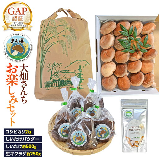 【ふるさと納税】《 ファーム大畑 》お楽しみセット 米 お米 しいたけパウダー しいたけ 椎茸 まろ福しいたけ きくらげ 【ふるさと納税】《 ファーム大畑 》お楽しみセット 米 お米 しいたけパウダー しいたけ 椎茸 まろ福しいたけ きくらげ