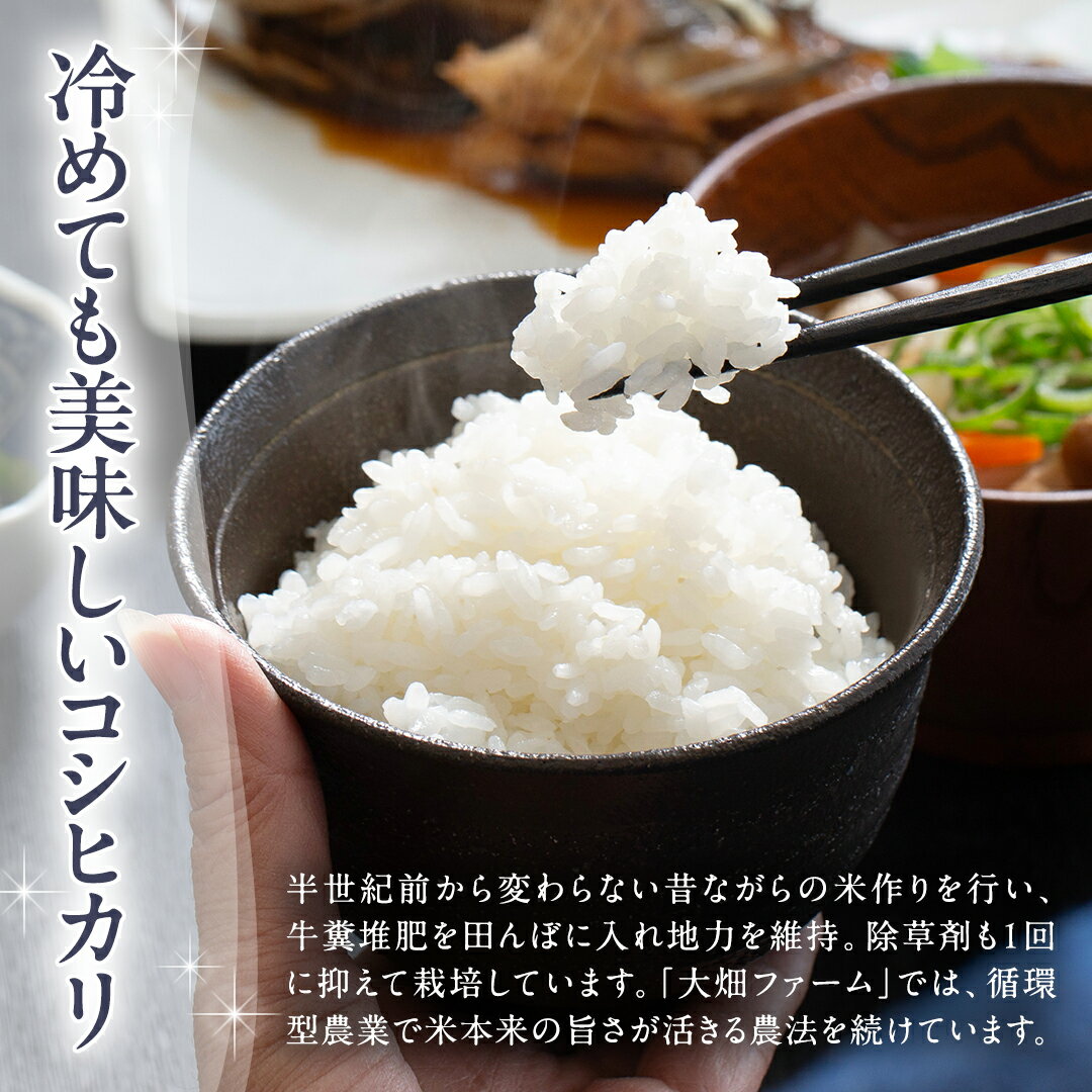 【ふるさと納税】《 ファーム大畑 》お楽しみセット 米 お米 しいたけパウダー しいたけ 椎茸 まろ福しいたけ きくらげ