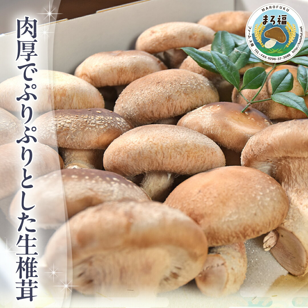 【ふるさと納税】《 ファーム大畑 》お楽しみセット 米 お米 しいたけパウダー しいたけ 椎茸 まろ福しいたけ きくらげ