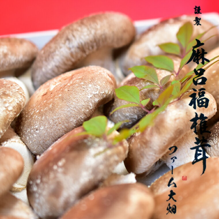 【ふるさと納税】【 数量限定 】 謹製 「 麻呂福椎茸 」 椎茸 しいたけ シイタケ 菌床椎茸栽培