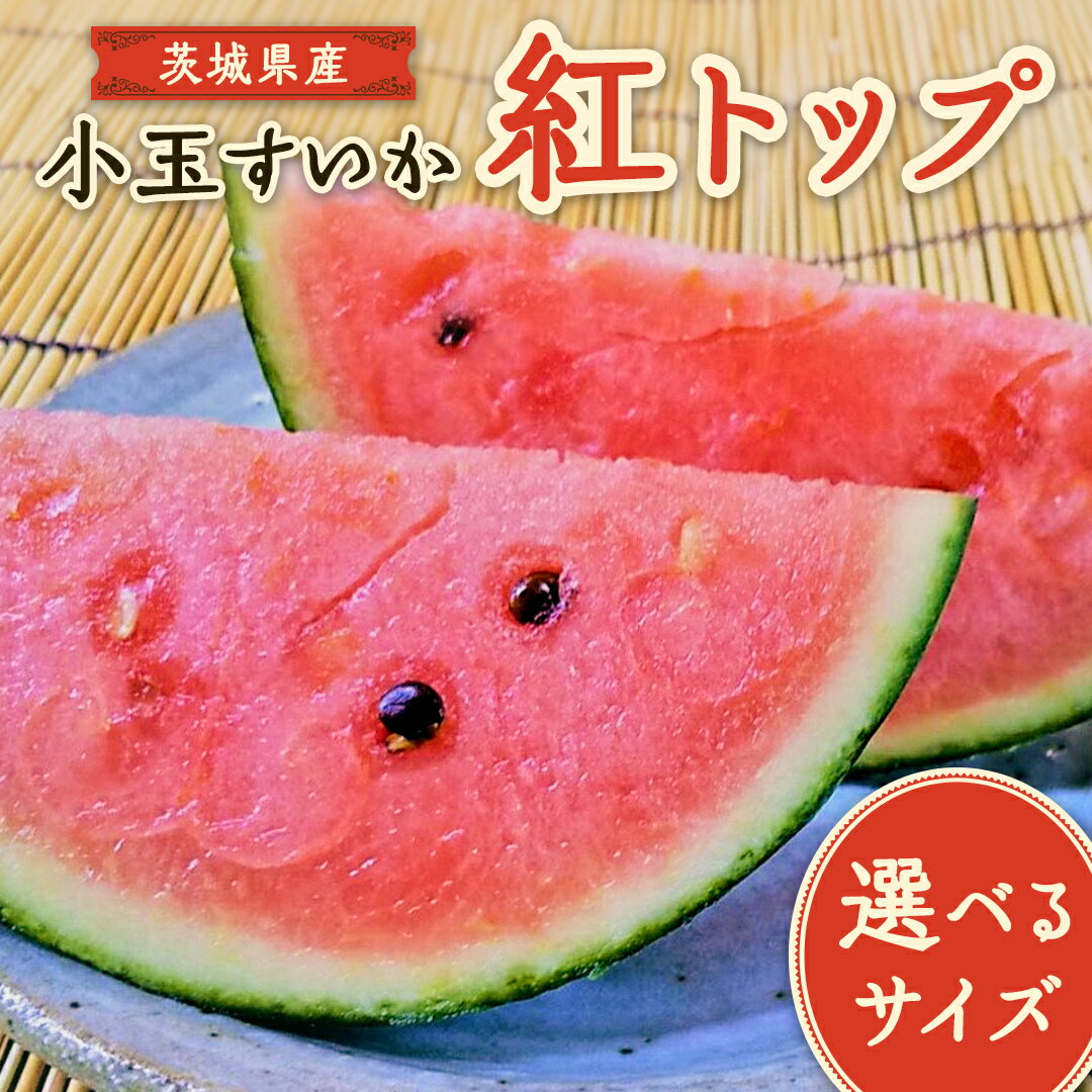 【ふるさと納税】【 先行予約 】 希少品種 「 紅トップ 」 茨城県産 小玉 スイカ すいか 選べるサイズ 2玉 L 2L 1玉 3L サイズ