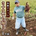 【ふるさと納税】【 チケット 】 さつまいも掘り 体験 1名様 芋ほり イモ サツマイモ さつま芋 収穫