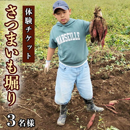 【 チケット 】 さつまいも掘り 体験 3名様 芋ほり イモ サツマイモ さつま芋 収穫