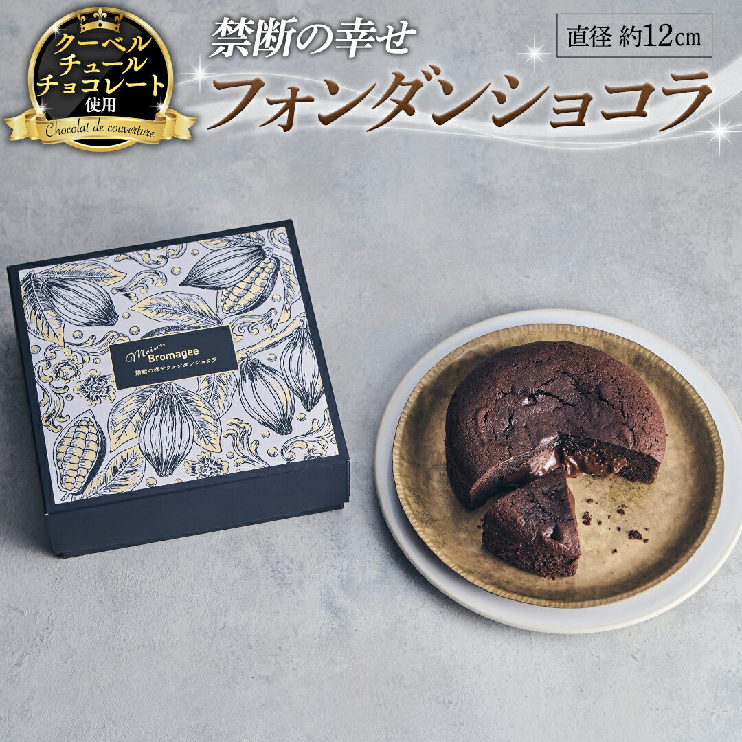 【 禁断の幸せ 】 フォンダンショコラ チョコ チョコレート 生チョコ ショコラ ケーキ デザート スイーツ 贈り物 贈答 ギフト バレンタイン ホワイトデー