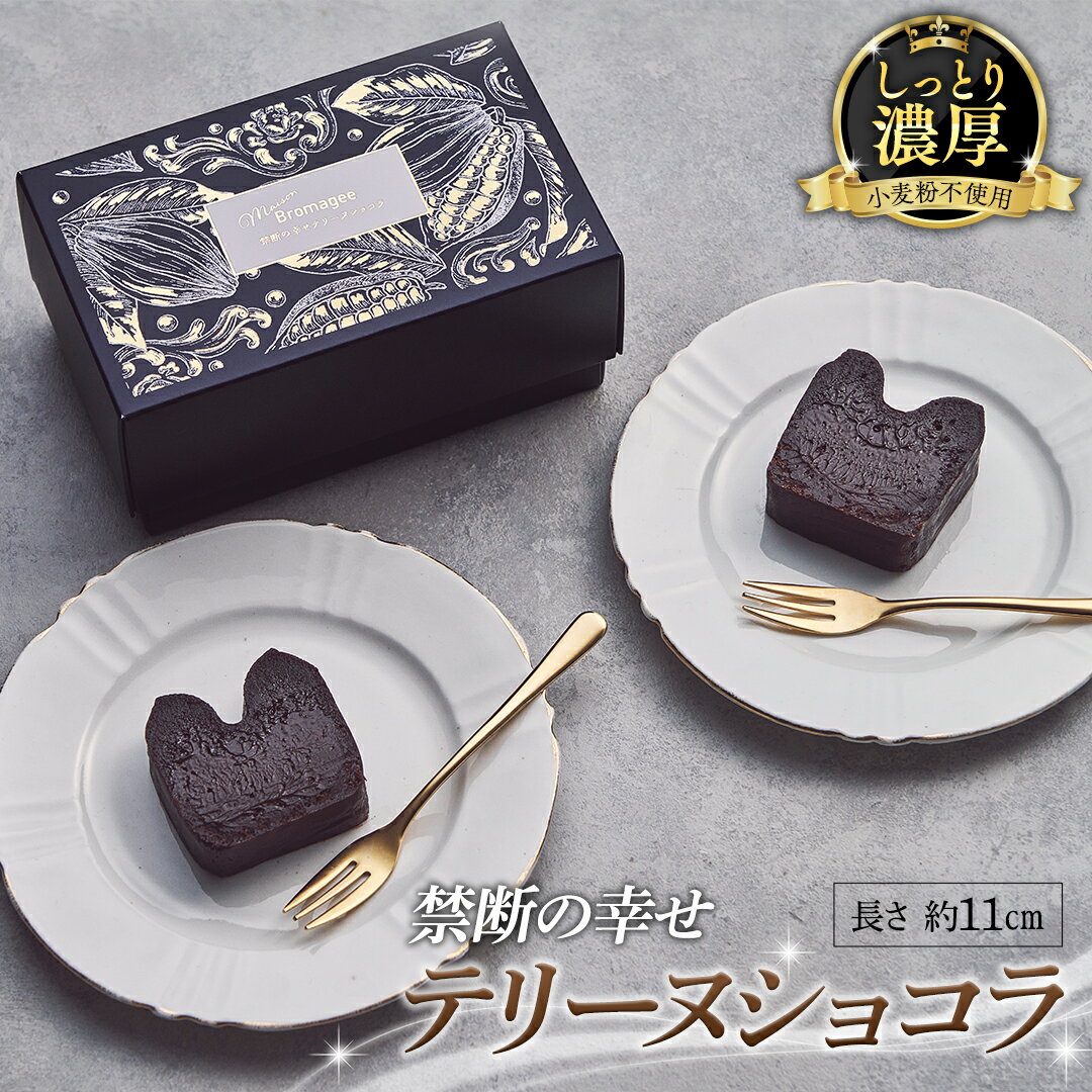 【 禁断の幸せ 】 テリーヌショコラ チョコ チョコレート 生チョコ ショコラ ケーキ デザート スイーツ テリーヌ 贈り物 贈答 ギフト バレンタイン ホワイトデー