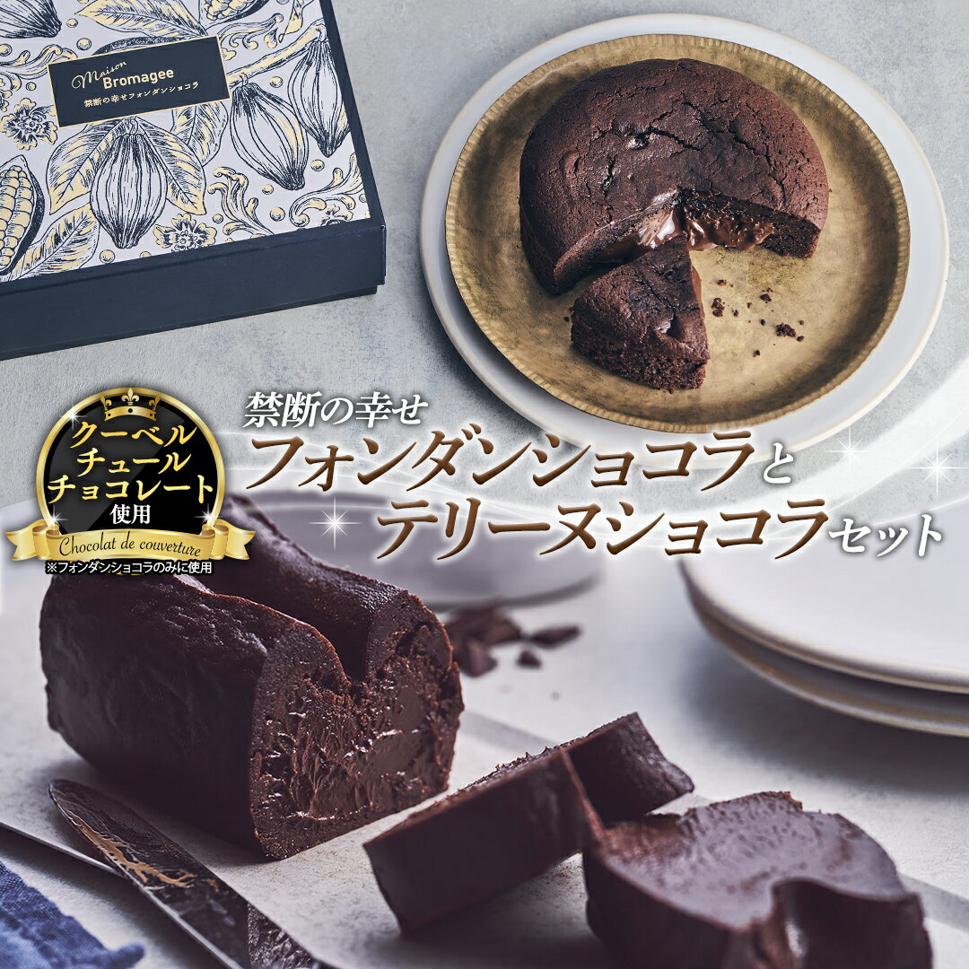 【 禁断の幸せ 】 フォンダンショコラ & テリーヌショコラ セット チョコ チョコレート 生チョコ ショコラ ケーキ デザート スイーツ テリーヌ 贈り物 贈答 ギフト バレンタイン ホワイトデー