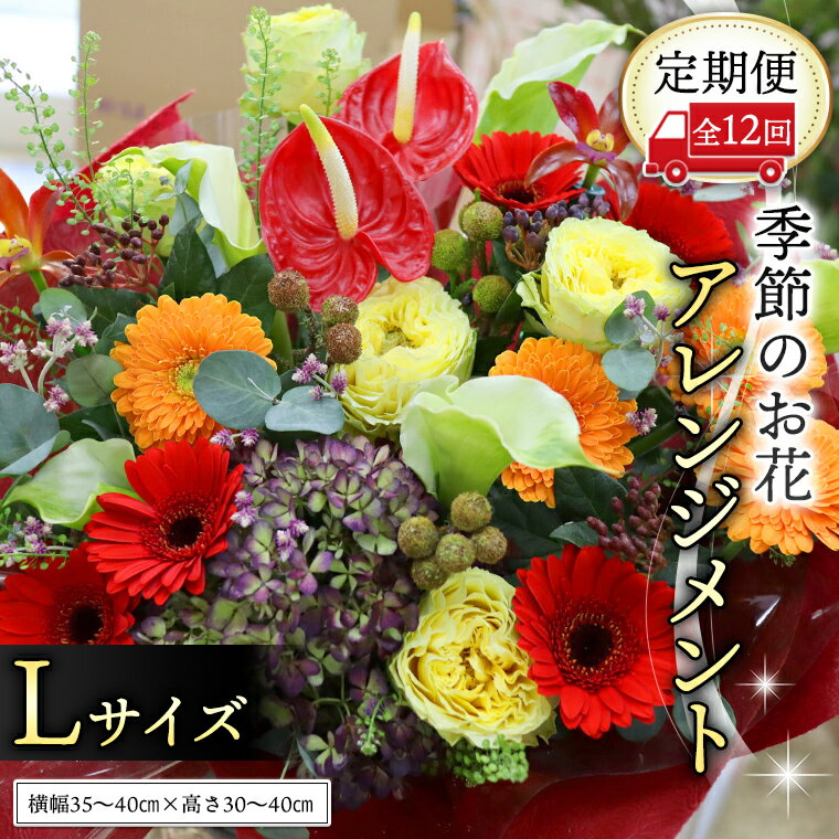 ڤդ뤵Ǽǡۡ  12  Ϥ  󥸥 L   1ǯ    