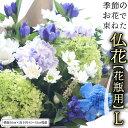 【ふるさと納税】 季節の お花 で束ねた 仏花 【 花瓶 用 】L 仏花 生花 お供え(4)