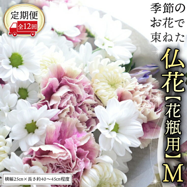 ڤդ뤵Ǽǡۡ  12۵  «ͤʩ֡ڲѡM  ʩ  