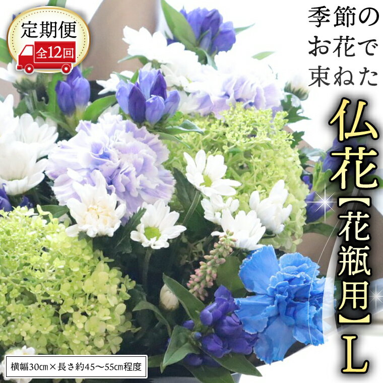ڤդ뤵Ǽǡۡ  12۵  «ͤʩ֡ڲѡL  ʩ  