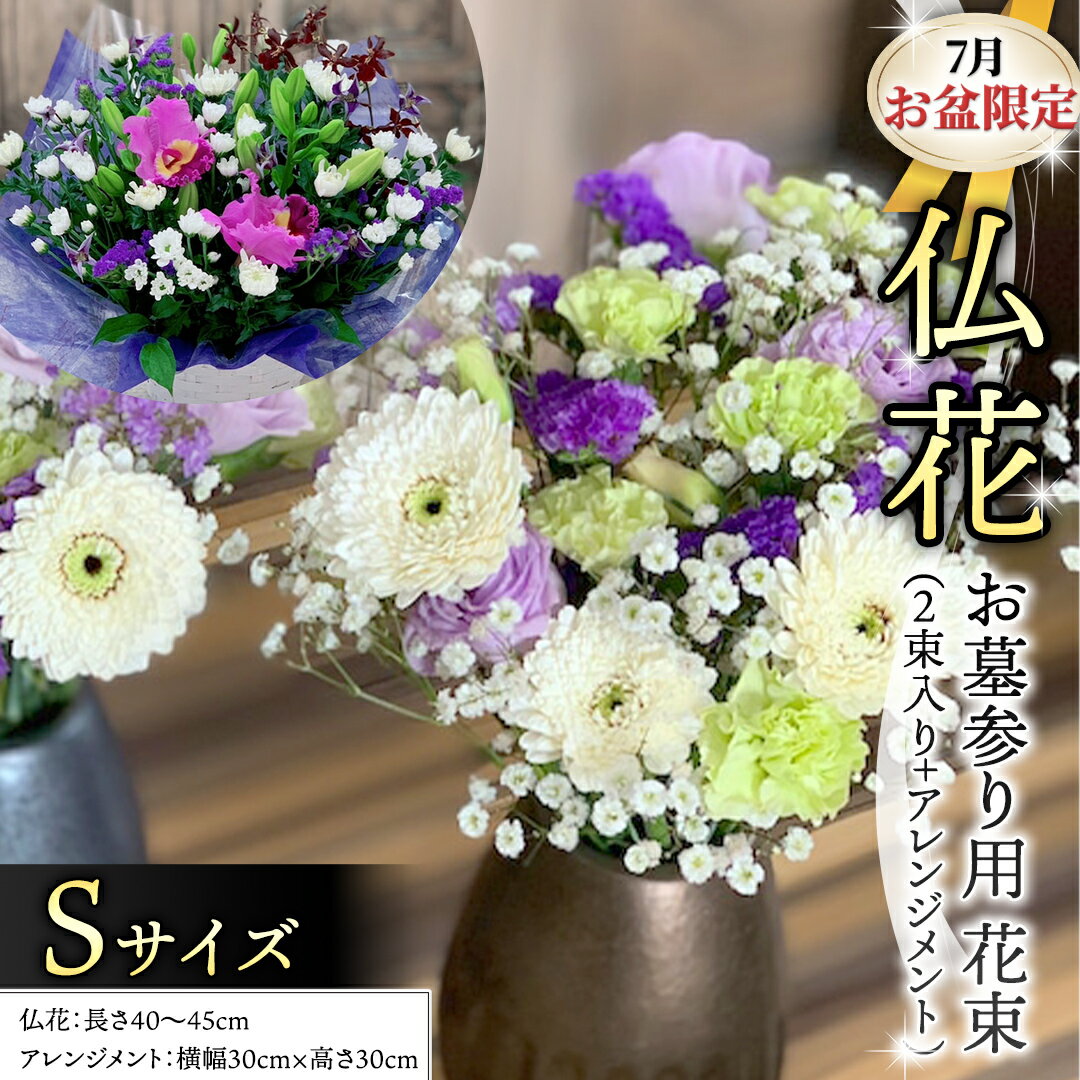 ڤդ뤵Ǽǡۡ 7    ʩ å S ( 2« + 󥸥 )  ե  ̿  軲 ...