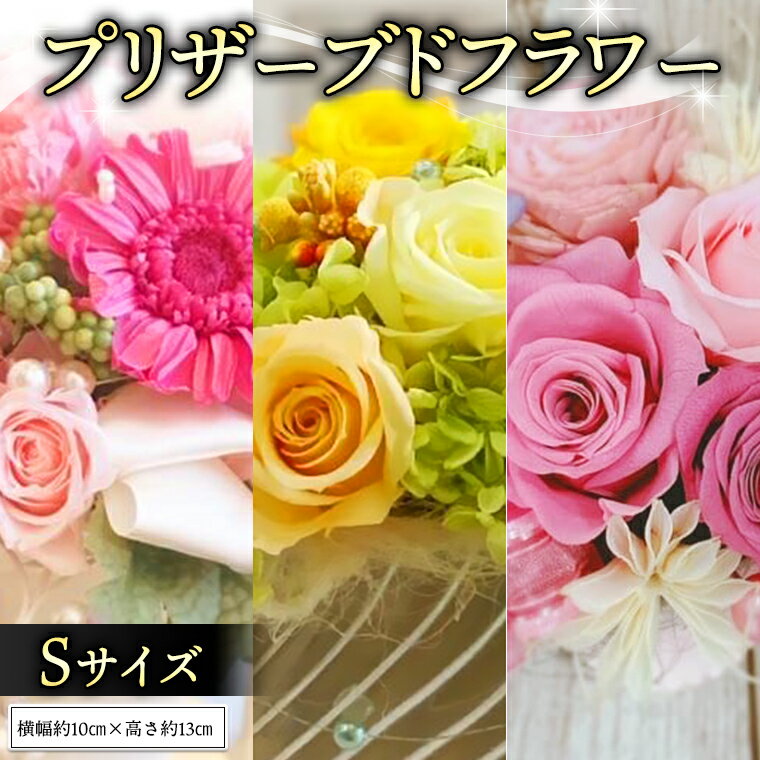 【ふるさと納税】 プリザーブド フラワー S ギフト プレゼント 花 お祝い 贈答 記念日