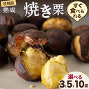 【ふるさと納税】 【 吉原農場 の 完熟栗 】 熟成 焼き栗 ( 選べる 内容量 ) 完熟 栗 くり クリ 栗ごはん 贈答 ギフト 果物 フルーツ 数量限定 旬 秋 冬 正月 おせち