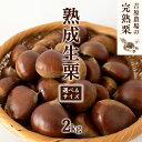【ふるさと納税】 【 吉原農場 の 完熟栗 】 熟成 生栗 2kg ( 選べる サイ...