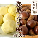 【ふるさと納税】【 吉原農場 の 完熟栗 】 熟成 生栗 ( 選べる サイズ ) 1kg ・ 生むき栗 3袋 セット 令和7年産 完熟 栗 くり クリ 栗ごはん 贈答 ギフト 果物 フルーツ 数量限定 旬 秋 冬 正月 おせち