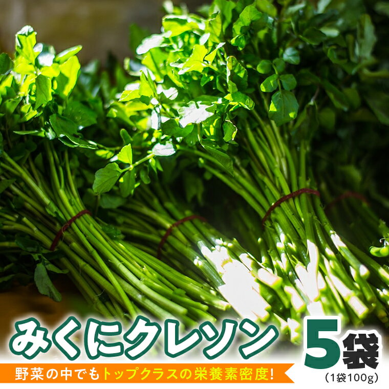 【ふるさと納税】【 先行予約 】 みくにクレソン100g×5袋 美容 健康 野菜 スーパーフード