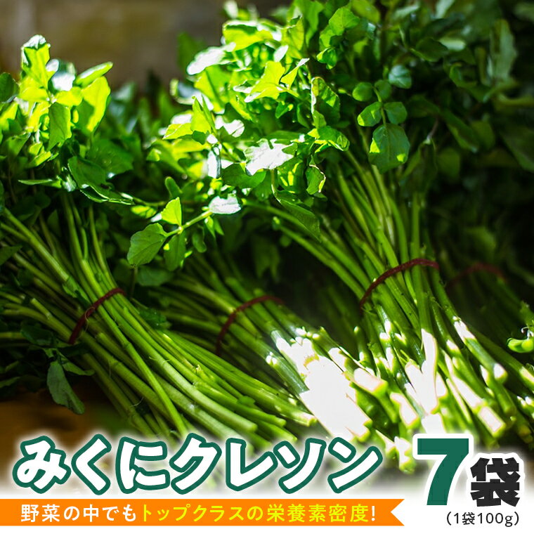 【ふるさと納税】【 先行予約 】 みくにクレソン100g×7袋 美容 健康 野菜 スーパーフード