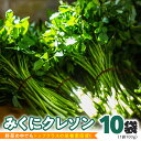 【ふるさと納税】【 先行予約 】 みくにクレソン100g×10袋 美容 健康 野菜 スーパーフード