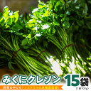 【ふるさと納税】【 先行予約 】 みくにクレソン100g×15袋 美容 健康 野菜 スーパーフード