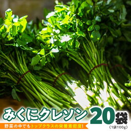 【ふるさと納税】【 先行予約 】 みくにクレソン100g×20袋 美容 健康 野菜 スーパーフード