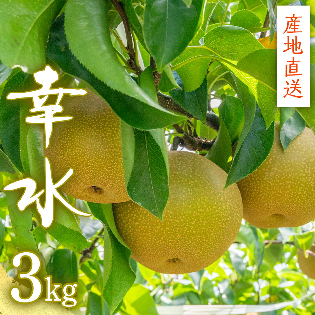 【ふるさと納税】【 産地直送 】 幸水 3kg 梨 フルーツ 果物 国産 日本産 梨 ナシ なし 和梨