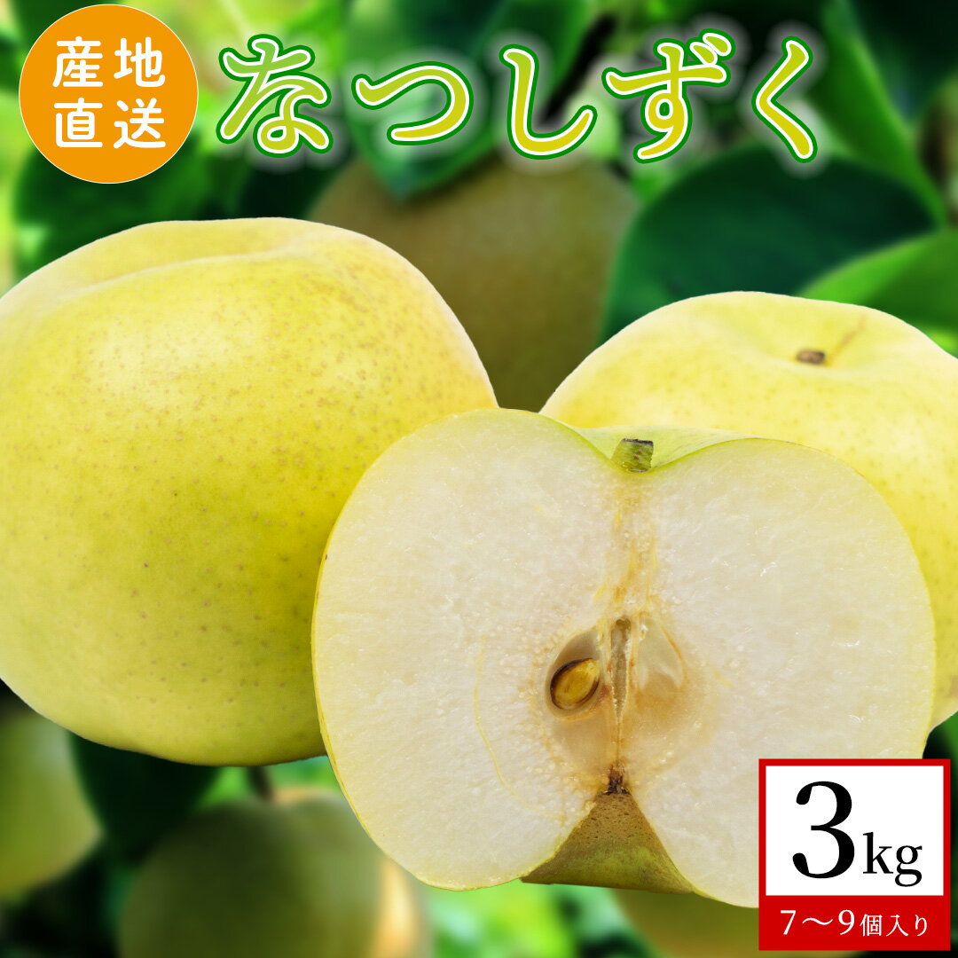 【ふるさと納税】【 産地直送 】 なつしずく 3kg 梨 フルーツ 果物 国産 日本産 梨 ナシ なし 和梨