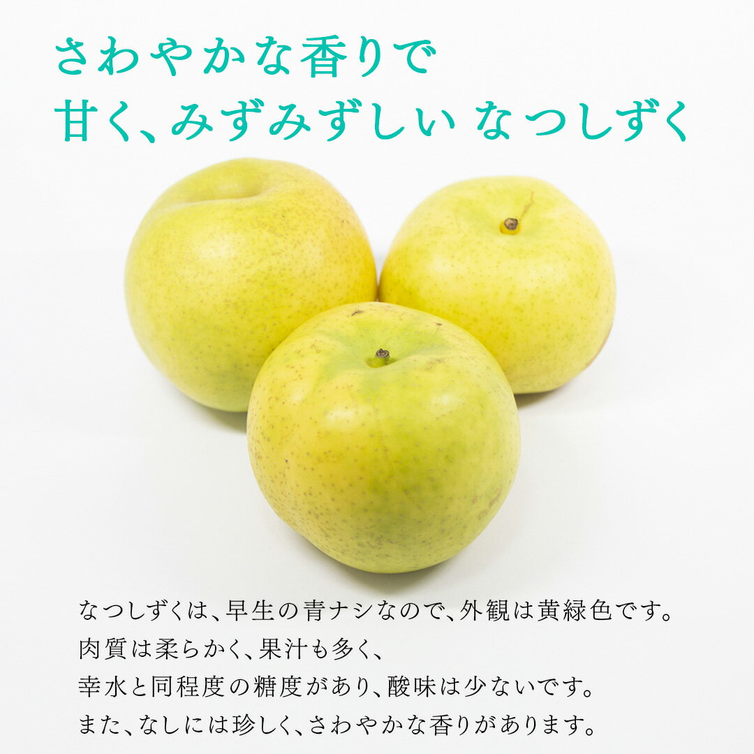 【ふるさと納税】【 産地直送 】 なつしずく 3kg 梨 フルーツ 果物 国産 日本産 梨 ナシ なし 和梨