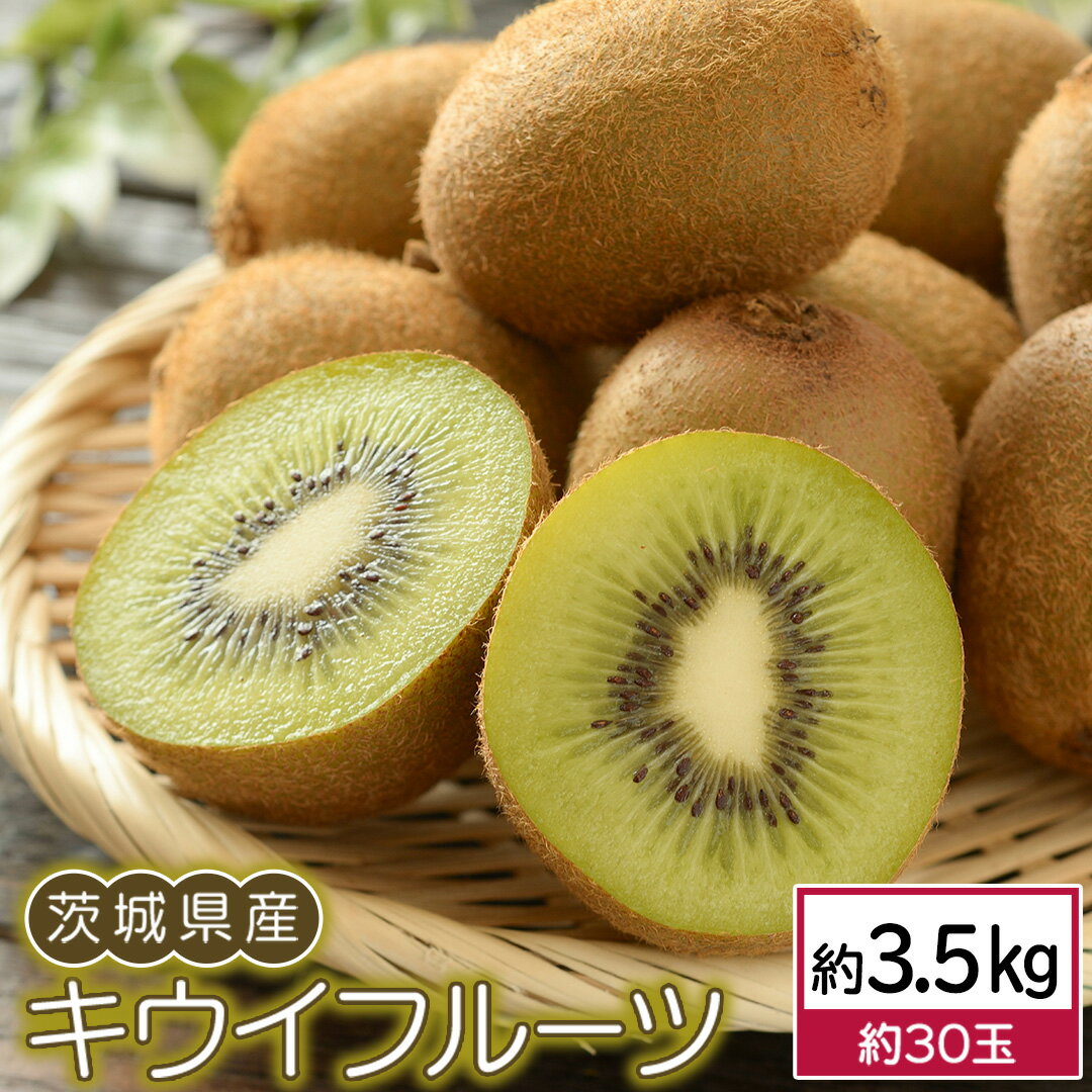 茨城県産 キウイ フルーツ 3.5kg (約 30玉 ) 果物 キウイフルーツ 先行予約 数量限定 甘い 旬 国産
