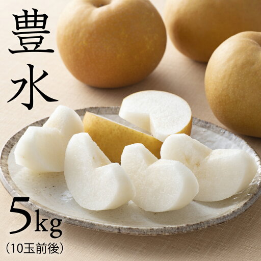 【ふるさと納税】 【 豊水 】 梨 5kg なし ナシ 果物フルーツ 旬 【ふるさと納税】 【 豊水 】 梨 5kg なし ナシ 果物フルーツ 旬