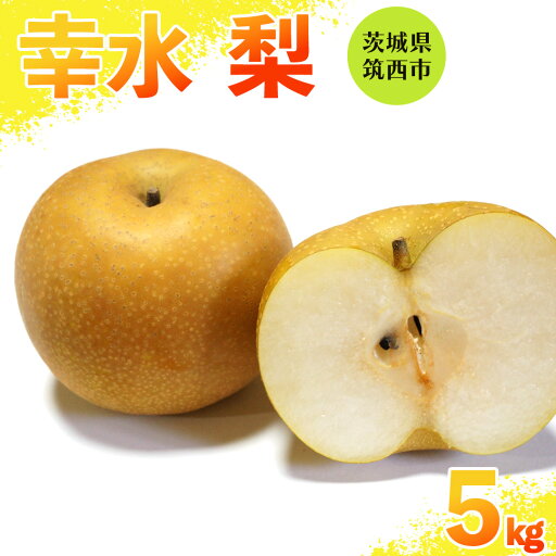 【ふるさと納税】 【 幸水 】 梨 5kg なし ナシ 果物フルーツ 旬 【ふるさと納税】 【 幸水 】 梨 5kg なし ナシ 果物フルーツ 旬