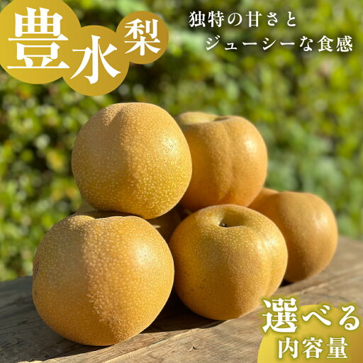 【ふるさと納税】独特の甘さ ジューシーな食感 「 豊水 」 梨 5kg 減農薬 果物 フルーツ なし ナシ 【ふるさと納税】独特の甘さ ジューシーな食感 「 豊水 」 梨 5kg 減農薬 果物 フルーツ なし ナシ