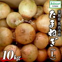 【ふるさと納税】ASIAGAP認証農場 の たまねぎ 10kg ( Lサイズ ) 令和7年産 先行予約 玉ねぎ 玉葱 タマネギ 有機栽培 野菜 ASIAGAP