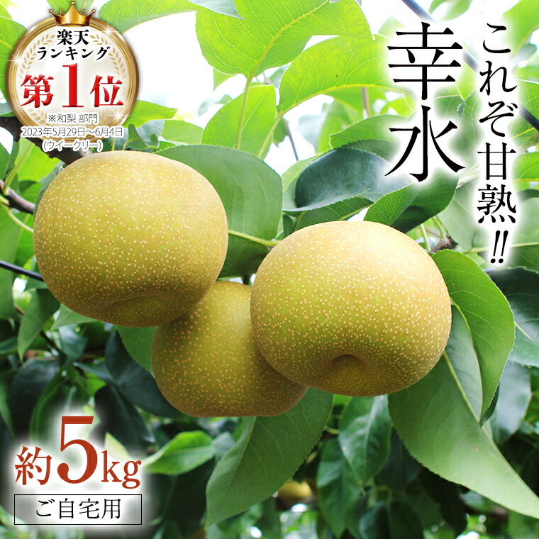 [ ランキング 1位 獲得!! ] これぞ甘熟 『 幸水 』 5kg ( 自家用 ) フルーツ 果物 国産 日本産 梨 ナシ なし 和梨