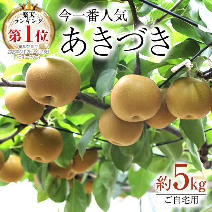 【 ランキング 1位 獲得!! 】 今一番人気 『 あきづき 』 5kg ( 自家用 ) フルーツ 果物 国産 日本産 梨 ナシ なし 和梨