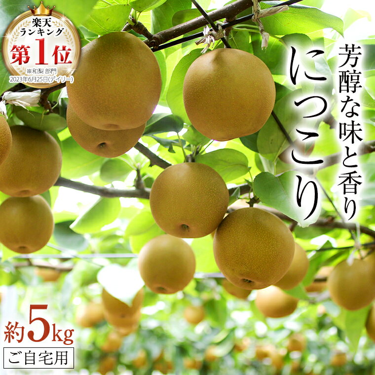 [ ランキング 1位 獲得!! ] 芳醇な味と香り 『 にっこり 』 5kg ( 自家用 ) フルーツ 果物 国産 日本産 梨 ナシ なし 和梨